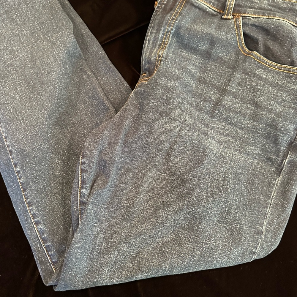 Talbots DARK BLUE Relaxed Jeans